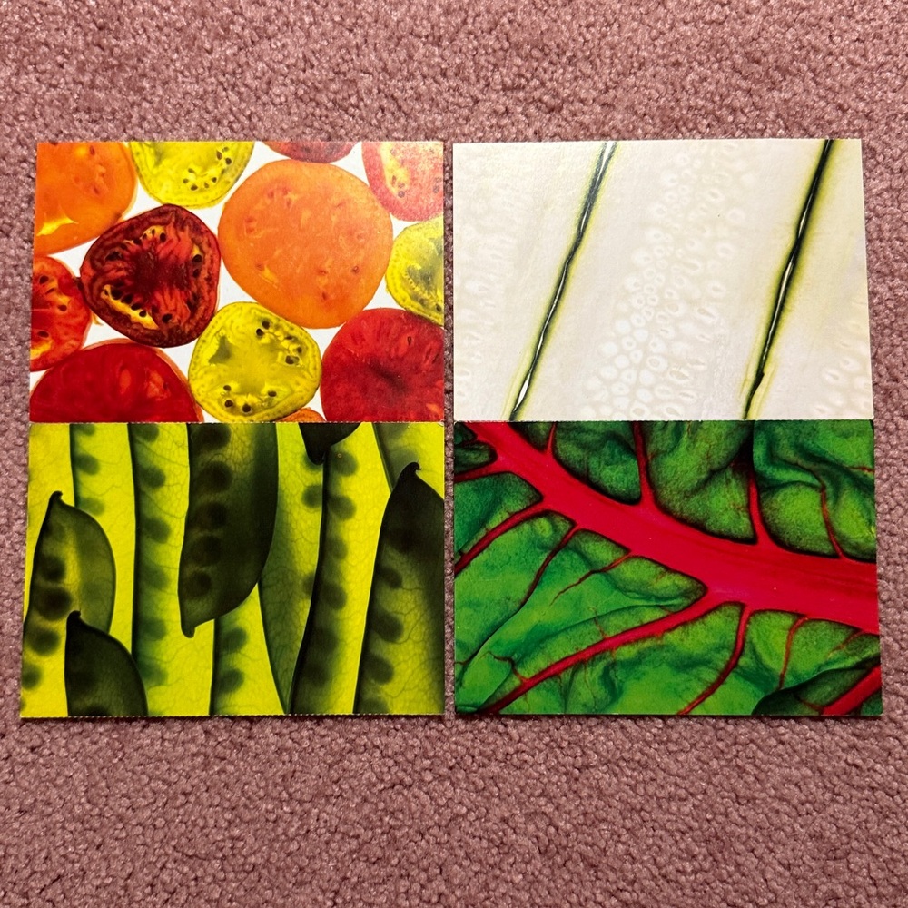 🔥10/$15 4 Postcards